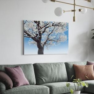 オーダーアートパネル PHOTOWALL / Blossoming Cherry-Tree (e6210)