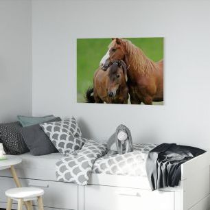 オーダーアートパネル PHOTOWALL / Horses (e21328)