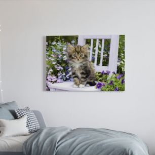 オーダーアートパネル PHOTOWALL / Outdoor Kitten (e22909)