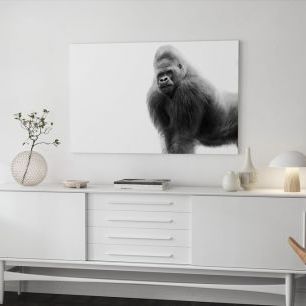 オーダーアートパネル PHOTOWALL / One Gorilla (e22995)