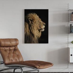 オーダーアートパネル PHOTOWALL / Big Male African Lion (e23167)