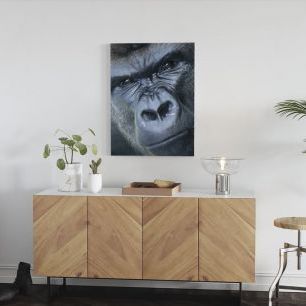 オーダーアートパネル PHOTOWALL / Gorilla Portrait (e23792)