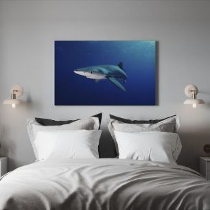 オーダーアートパネル PHOTOWALL / Lone Blue Shark (e24633)