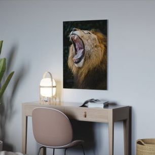 オーダーアートパネル PHOTOWALL / African Lion (e24634)