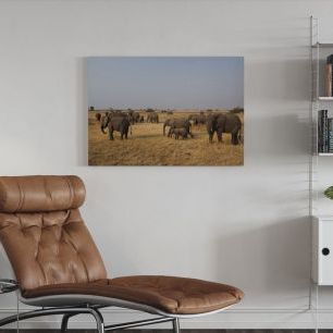 オーダーアートパネル PHOTOWALL / African Elephant Herd (e24643)