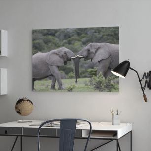オーダーアートパネル PHOTOWALL / Elephant Hug (e29607)