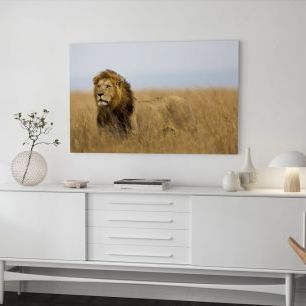 オーダーアートパネル PHOTOWALL / Lions Watch (e40708)