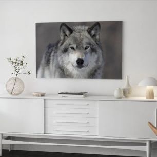オーダーアートパネル PHOTOWALL / Portrait of a Wolf (e40925)