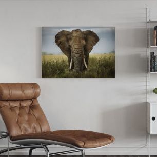 オーダーアートパネル PHOTOWALL / Elephant Scene (e40951)