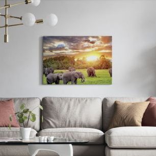 オーダーアートパネル PHOTOWALL / Meadow Elephants (e40972)