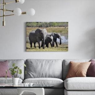 オーダーアートパネル PHOTOWALL / Elephant Family (e310521)