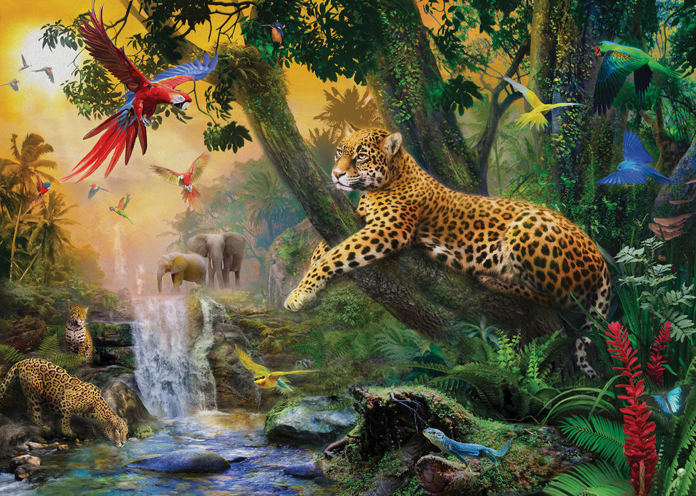 アートパネル Photowall Leopards In The Jungle 壁紙屋本舗