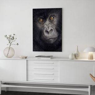 オーダーアートパネル PHOTOWALL / Young Mountain Gorilla (e312745)