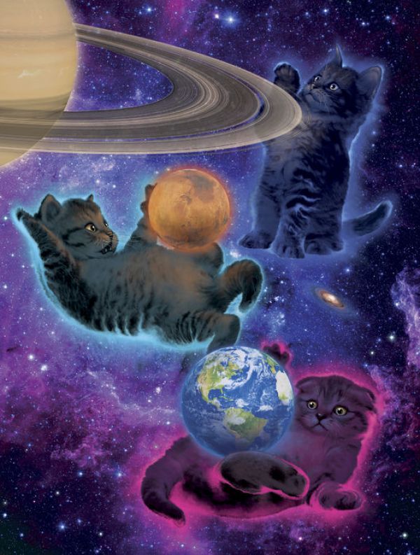 アートパネル Photowall Cosmic Kittens 134 壁紙屋本舗
