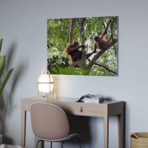 オーダーアートパネル PHOTOWALL / Female and Infant Orangutan (e314300)