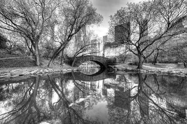 輸入壁紙 カスタム壁紙 PHOTOWALL / Bridge in Central Park - b/w (e1593)