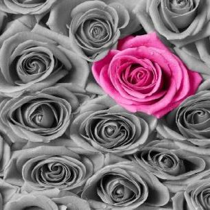 輸入壁紙 カスタム壁紙 PHOTOWALL / Roses - Pink and Grey (e19096)
