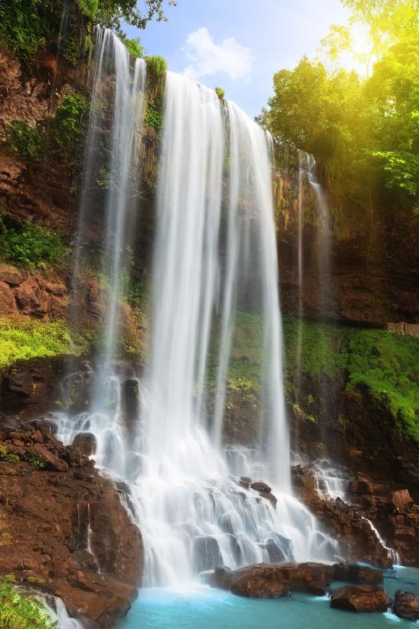 輸入壁紙 カスタム壁紙 PHOTOWALL / Waterfall in Rain Forest (e19136)