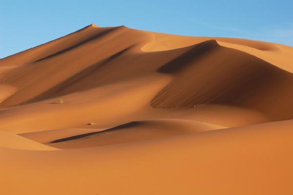 輸入壁紙 カスタム壁紙 PHOTOWALL / Sahara Desert (e19144)