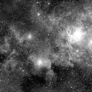 輸入壁紙 カスタム壁紙 PHOTOWALL / Stellar Field Nebulae - b/w (e1971)