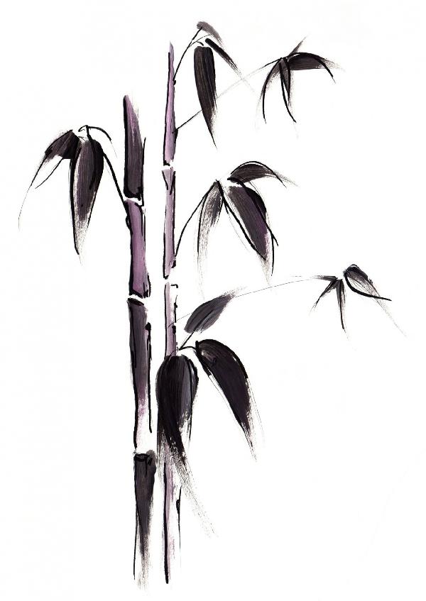 輸入壁紙 カスタム壁紙 PHOTOWALL / Bamboo Illustration (e6253)