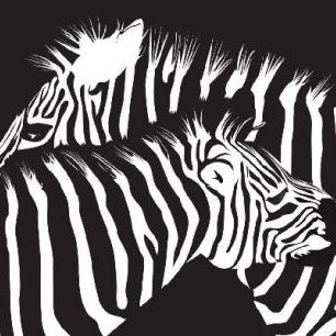 輸入壁紙 カスタム壁紙 PHOTOWALL / Zebras (e6298)