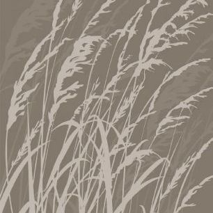 輸入壁紙 カスタム壁紙 PHOTOWALL / Grass - Brown (e6299)