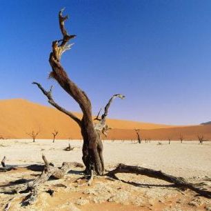 輸入壁紙 カスタム壁紙 PHOTOWALL / Namib Desert (e6337)