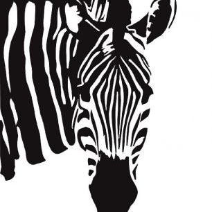 輸入壁紙 カスタム壁紙 PHOTOWALL / Watching Zebra (e1398)