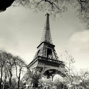 輸入壁紙 カスタム壁紙 PHOTOWALL / Eiffel Tower (e1430)