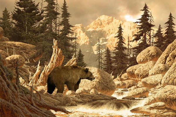 輸入壁紙 カスタム壁紙 PHOTOWALL / Grizzly Bear in the Tetons (e1488)