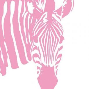 輸入壁紙 カスタム壁紙 PHOTOWALL / Watching Zebra - Pink (e1772)