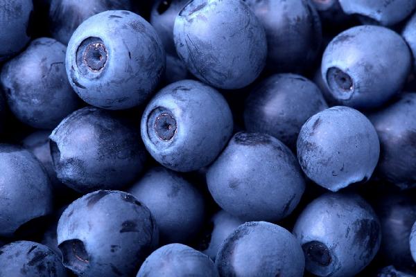 輸入壁紙 カスタム壁紙 PHOTOWALL / Blueberries (e1934)