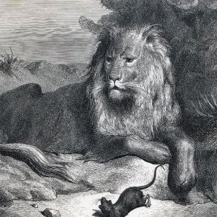 輸入壁紙 カスタム壁紙 PHOTOWALL / Dore,Gustave - Lion and the Mouse (e2144)