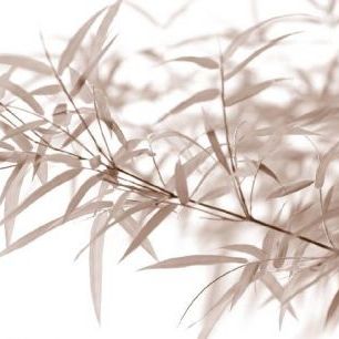 輸入壁紙 カスタム壁紙 PHOTOWALL / Miniature Bamboo - Sepia (e6189)