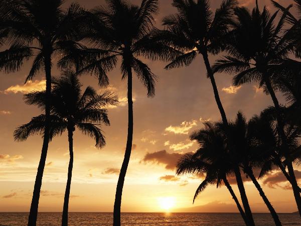 輸入壁紙 カスタム壁紙 PHOTOWALL / Hawaii Sunset (e6203)
