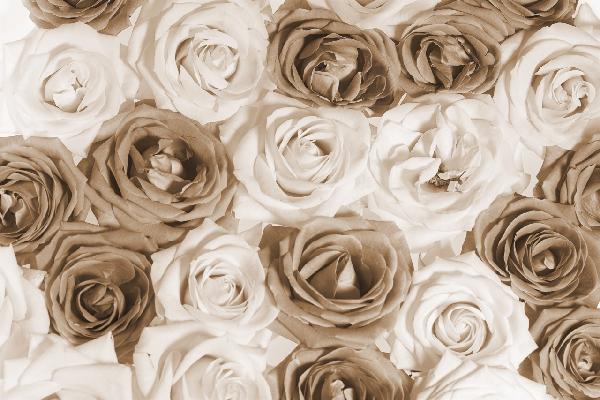 輸入壁紙 カスタム壁紙 PHOTOWALL / Nice Roses - Sepia (e19474)