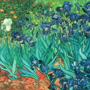 輸入壁紙 カスタム壁紙 PHOTOWALL / van Gogh,Vincent - Irises (e10361)