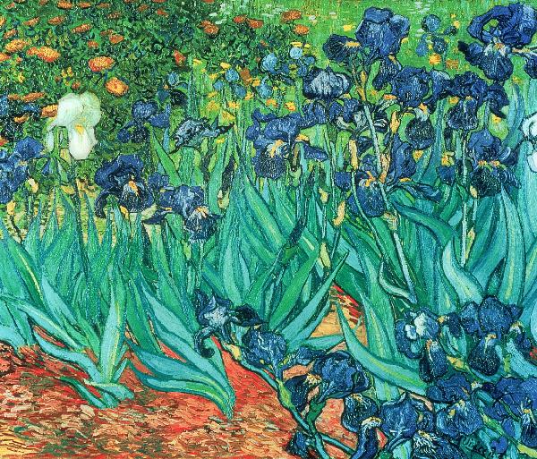 輸入壁紙 カスタム壁紙 PHOTOWALL / van Gogh,Vincent - Irises (e10361)