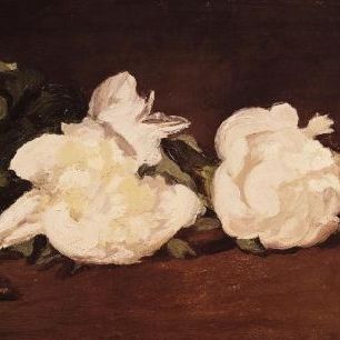 輸入壁紙 カスタム壁紙 PHOTOWALL / Manet,Edouard - Branch of White Peonies (e10367)