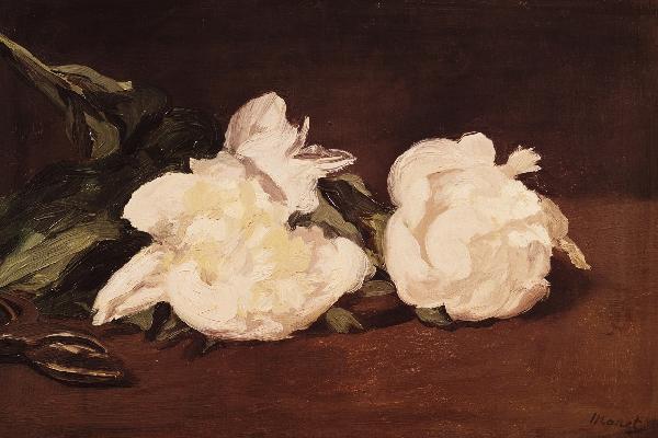 輸入壁紙 カスタム壁紙 PHOTOWALL / Manet,Edouard - Branch of White Peonies (e10367)