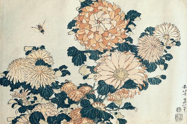 輸入壁紙 カスタム壁紙 PHOTOWALL / Hokusai,Katsushika - Chrysanthemums (e10382)