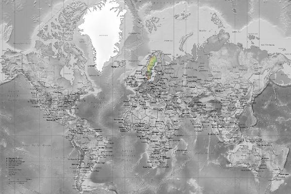 輸入壁紙 カスタム壁紙 PHOTOWALL / World Map - Detailed Colorsplash (e19711)
