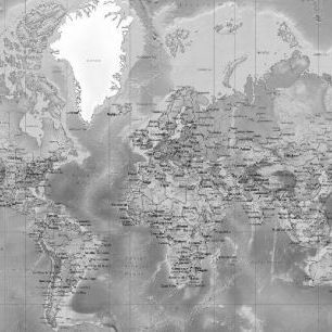 輸入壁紙 カスタム壁紙 PHOTOWALL / World Map - Detailed Grey (e19712)