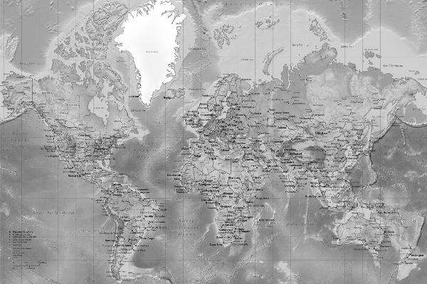 輸入壁紙 カスタム壁紙 PHOTOWALL / World Map - Detailed Grey (e19712)
