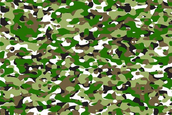 輸入壁紙 カスタム壁紙 PHOTOWALL / Camouflage - Green (e19909)