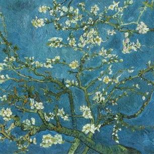 輸入壁紙 カスタム壁紙 PHOTOWALL / Van Gogh - Almond Blossom (e20035)
