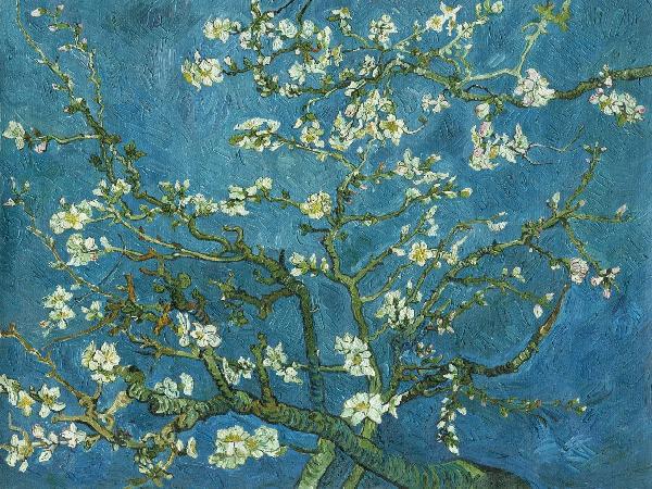 輸入壁紙 カスタム壁紙 PHOTOWALL / Van Gogh - Almond Blossom (e20035)