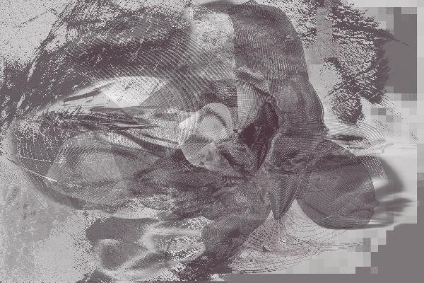 輸入壁紙 カスタム壁紙 PHOTOWALL / Orchid Chaos - Graphite (e20470)