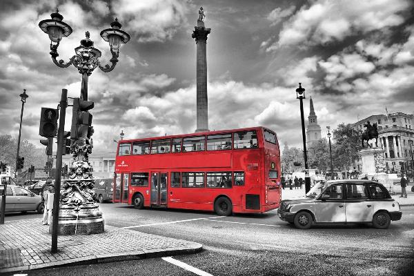 輸入壁紙 カスタム壁紙 PHOTOWALL / London Bus - Colorsplash (e20750)